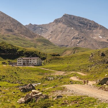 Heidelberger Hütte (25)a-min.jpg | © © TVB Paznaun - Ischgl Heidelberger Hütte (25)a-min.jpg | © © TVB Paznaun - Ischgl