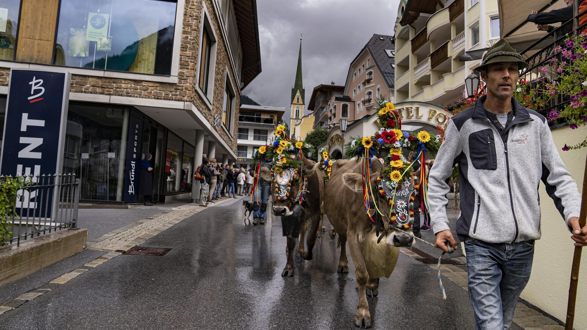 Eine festliche Prozession mit geschmückten Kühen und Kindern in traditioneller Tracht. Die Tiere tragen bunte Blumenkränze und der Hintergrund zeigt eine große Menge Zuschauer.