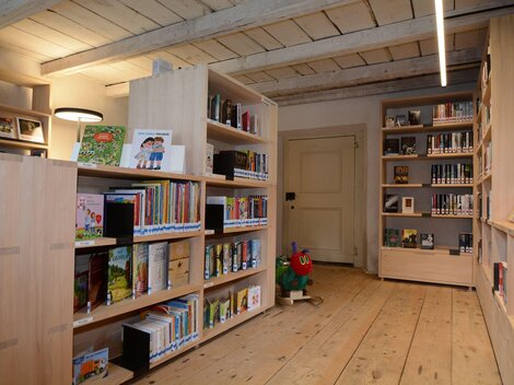 Ein heller Raum mit Holzregalen, die viele Bücher enthalten. In einer Ecke steht ein Spielzeug, und das Licht ist angenehm.