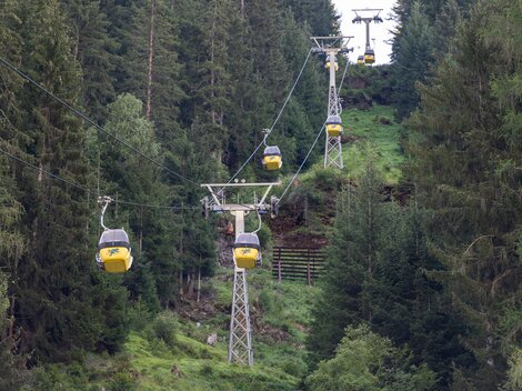 Eine Seilbahn fährt durch einen dichten Wald. Die Pendelbahnen sind gelb und an Stahlseilen aufgehängt.