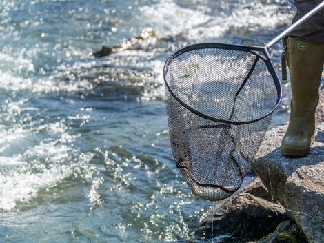 Eine Person steht am Ufer eines Gewässers und hält ein Netz in der Hand. Im Wasser sind spiegelnde Wellen zu sehen.