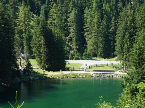 A tranquil lake surrounded by dense forests. In the background, there are walkers and a green meadow.
