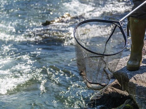 Ein Angler steht am Ufer eines Gewässers und hält ein Netz in der Hand. Das Wasser fließt glitzernd im Hintergrund.