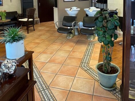 Ein Salon mit modernen Friseurstühlen und Waschbecken. Die Wände sind mit Bildern und einer Pflanze dekoriert.