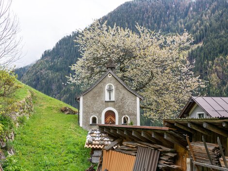 Eine kleine Kirche mit einem blühenden Baum in der Nähe. Im Hintergrund sind grüne Wiesen und Berge zu sehen. | © Bernhard Gruber – Photography