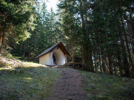 Eine kleine Hütte steht auf einem Hügel zwischen hohen Bäumen. Der Weg dorthin ist leicht zu erkennen und führt durch den Wald. | © ©Bernhard Gruber – Photography